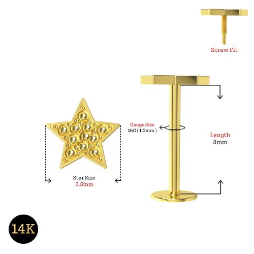 14K Gold Internally Threaded Star Screw Fit Stud - Monster Piercing
