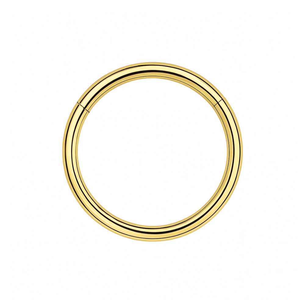 G23 Titanium Hinged Segment Clicker Ring - Monster Piercing