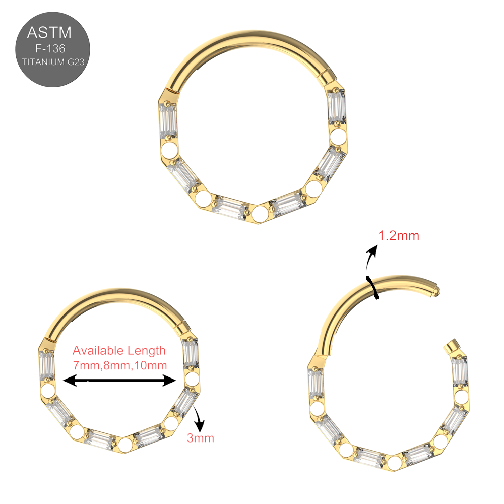 G23 Titanium Cubic Zirconia Baguette Linked Hinged Segment Clicker Ring - Monster Piercing