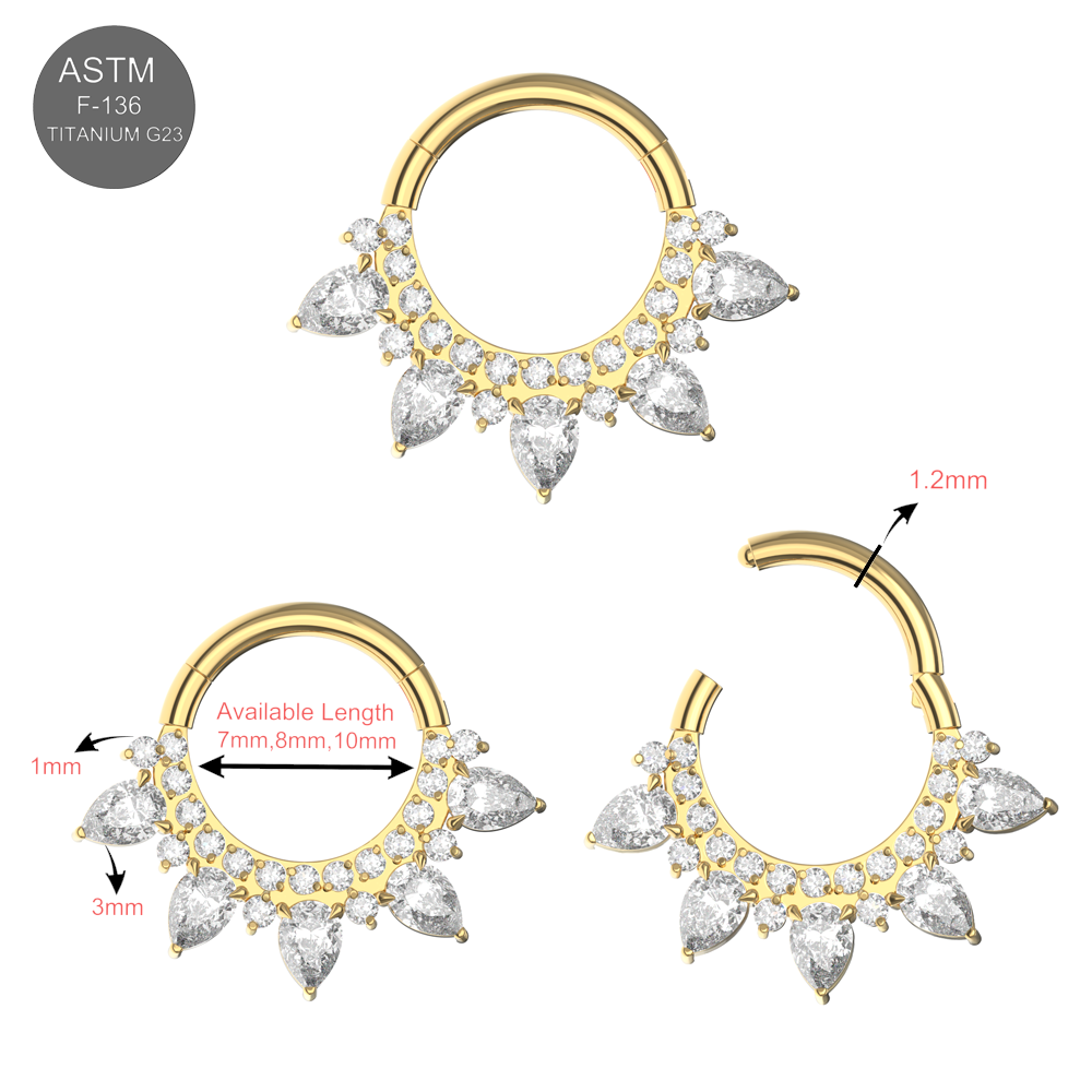 G23 Titanium Cubic Zirconia Studded Marquise Tiara Hinged Segment Clicker Ring - Monster Piercing