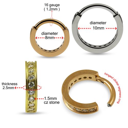 G23 Titanium CZ Jewelled Hinged Clicker Segment Ring - Monster Piercing
