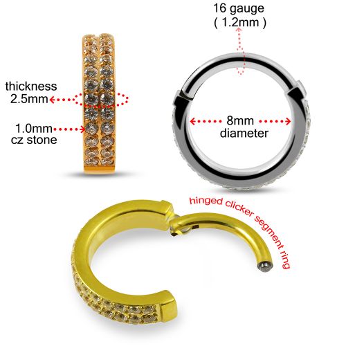G23 Titanium Double Row CZ Jewelled Hinged Clicker Segment Ring - Monster Piercing