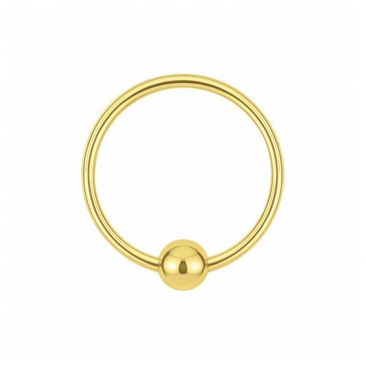 925 Sterling Silver 20G (0.8mm) BCR Nose Ring