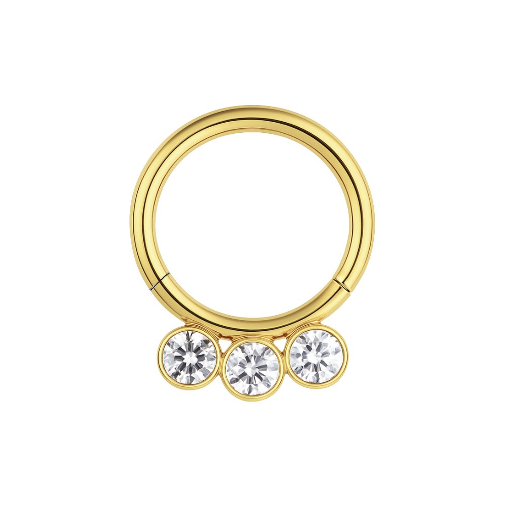 316L Surgical Steel and CZ Studded Hinged Segment Clicker Ring - Monster Piercing