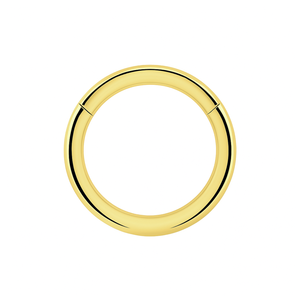 925 Sterling Silver Classic Hinged Segment Clicker Ring - Monster Piercing