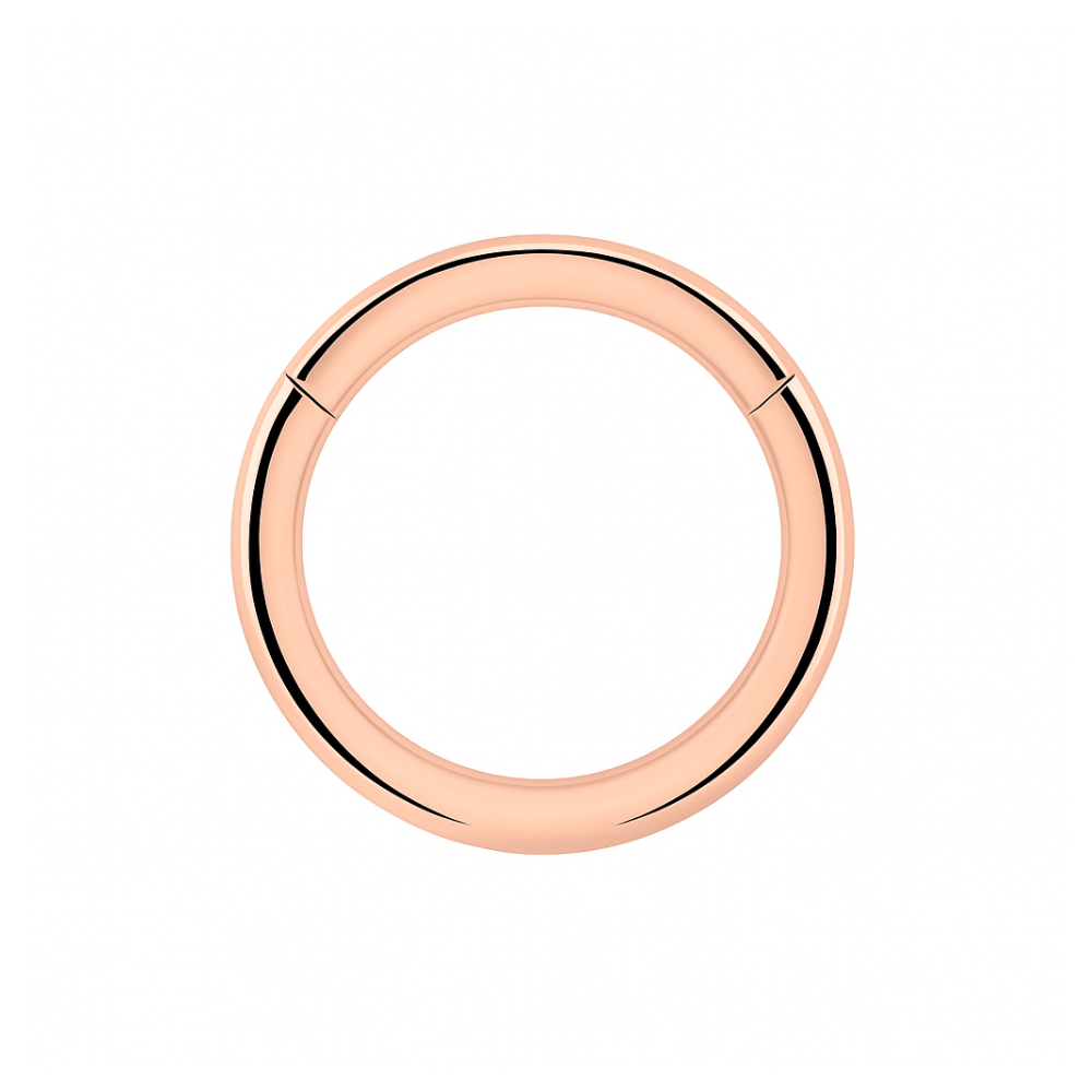 925 Sterling Silver Classic Hinged Segment Clicker Ring - Monster Piercing