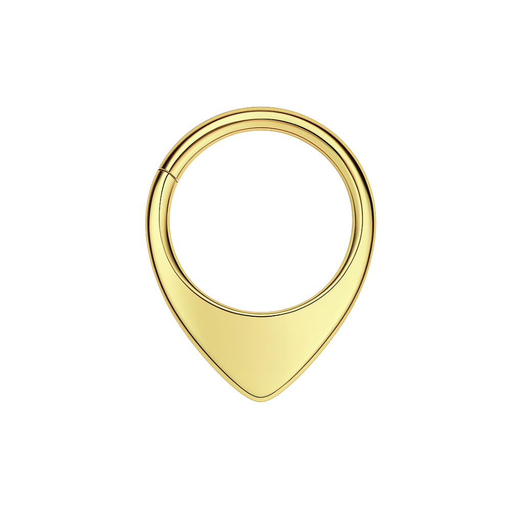 G23 Titanium Teardrop Flat Hinged Segment Clicker Ring - Monster Piercing