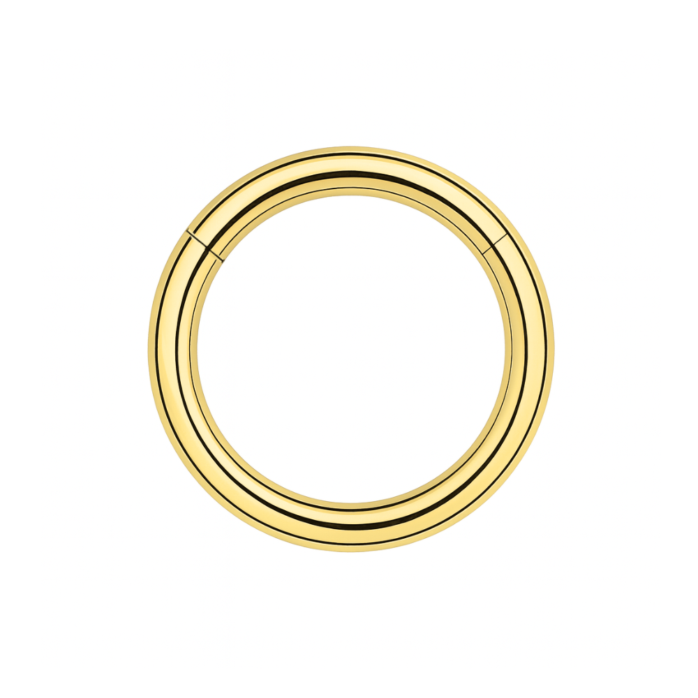 316L Surgical Steel 14G Hinged Segment Clicker Ring