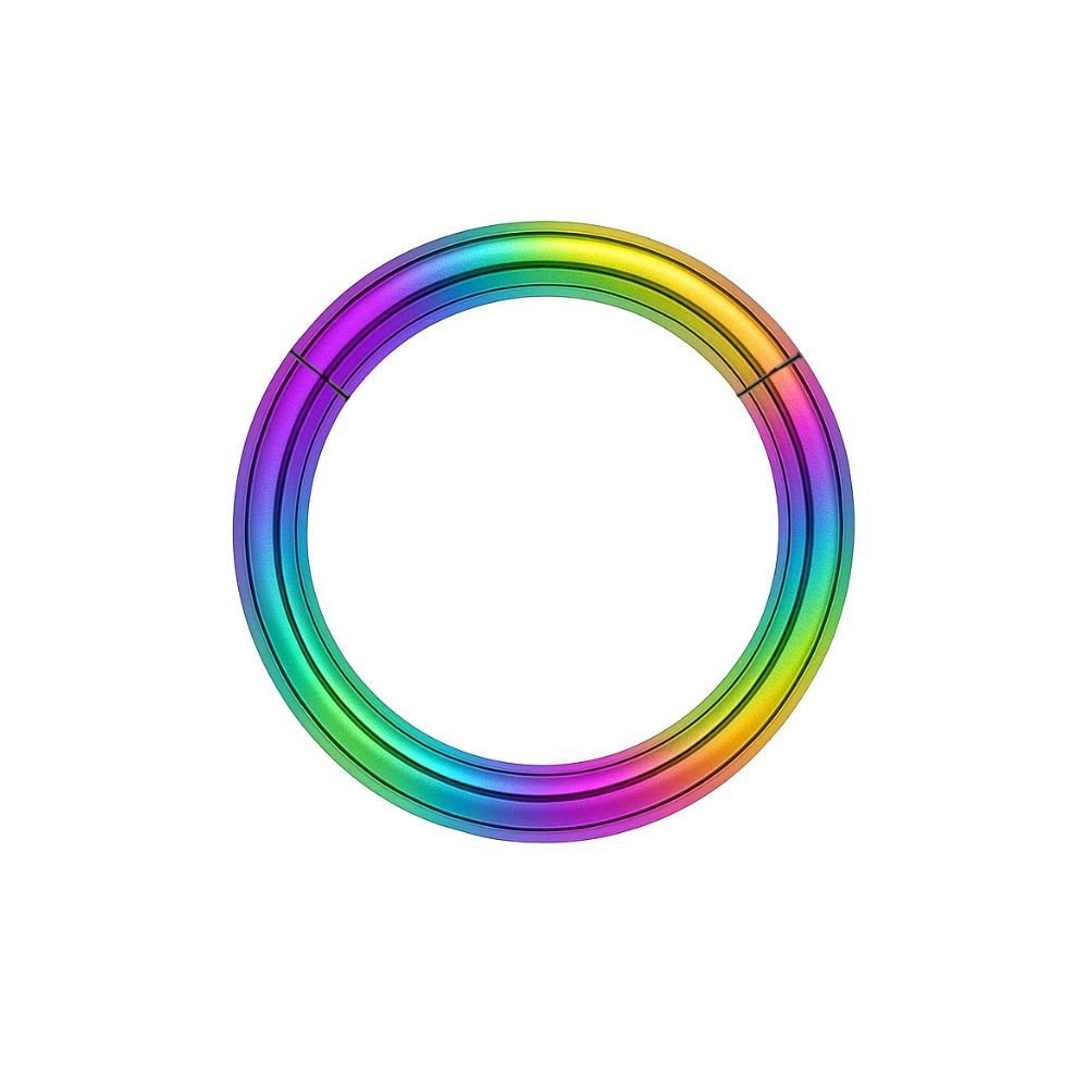 316L Surgical Steel 14G Hinged Segment Clicker Ring