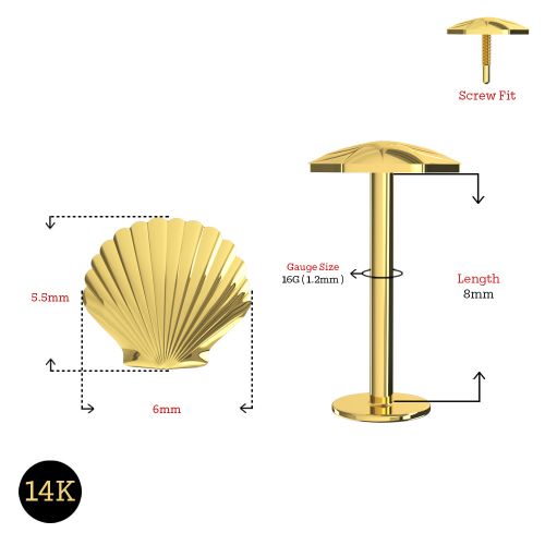 14K Gold Internally Threaded Shell Screw Fit Stud - Monster Piercing