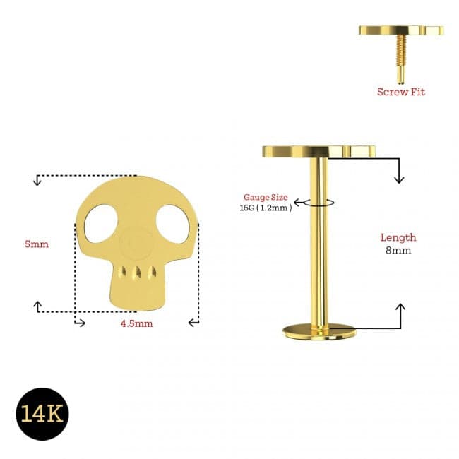 14K Gold Internally Threaded Skull Screw Fit Stud - Monster Piercing