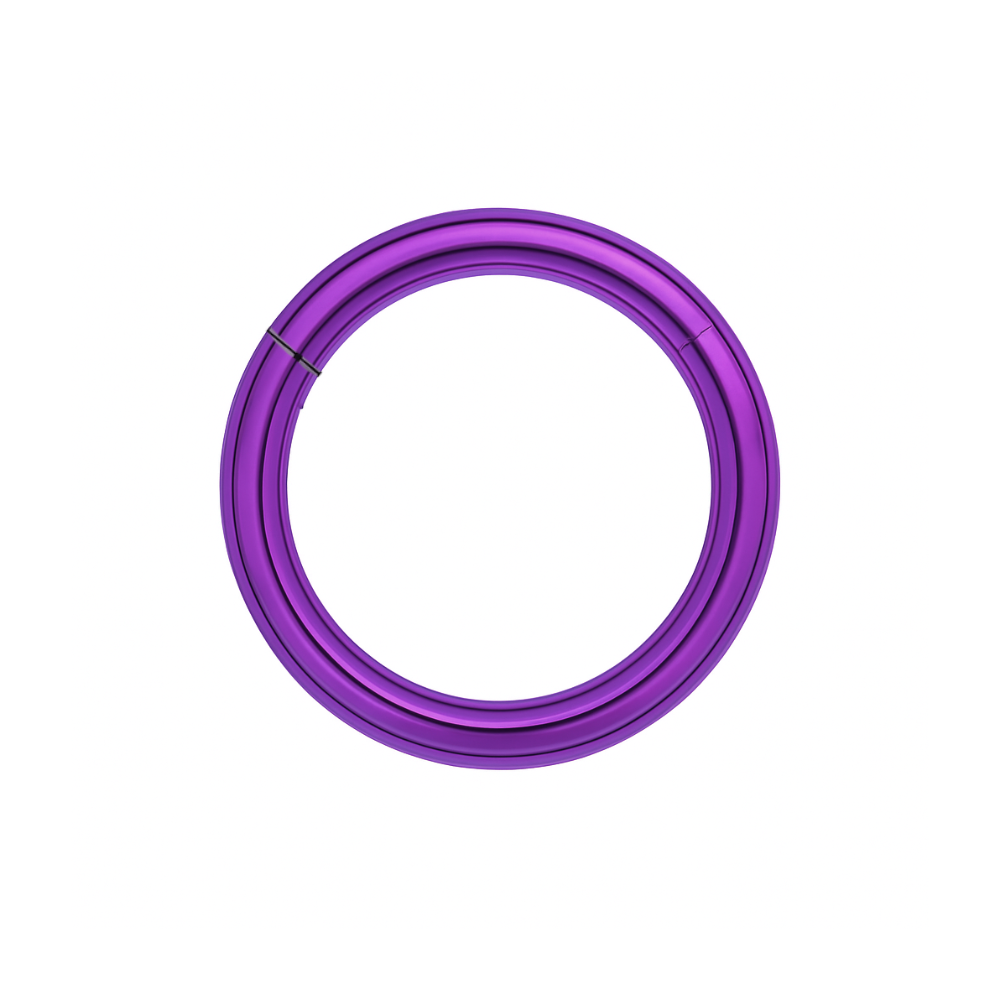 316L Surgical Steel 14G Hinged Segment Clicker Ring