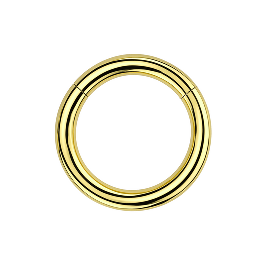 G23 Titanium Heavy Gauge Classic Hinged Segment Clicker Ring - Monster Piercing