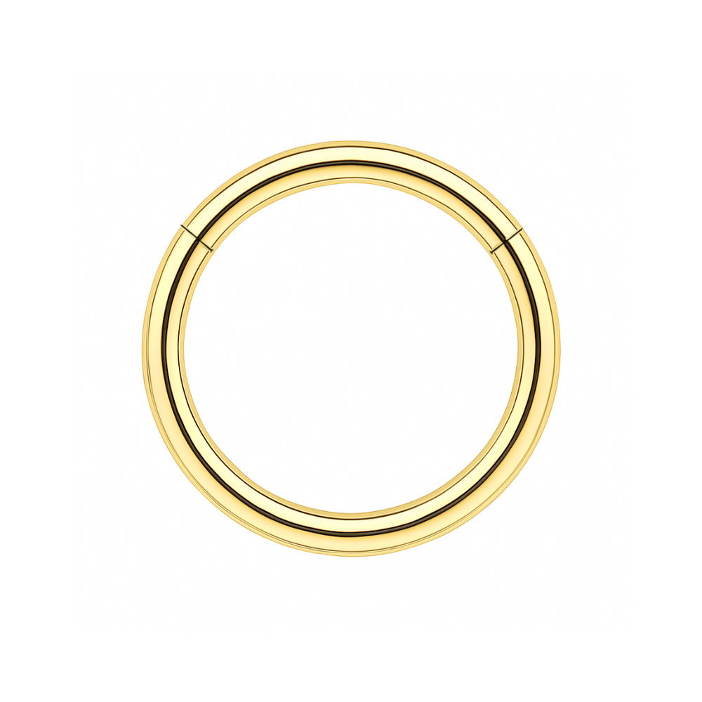 316L Surgical Steel 16G Hinged Segment Clicker Ring