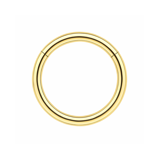 316L Surgical Steel 16G Hinged Segment Clicker Ring