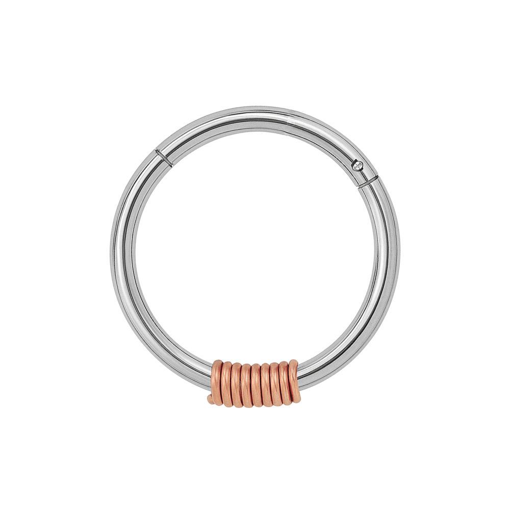 316L Surgical Steel Hinged Segment Ring with Spring - Monster Piercing