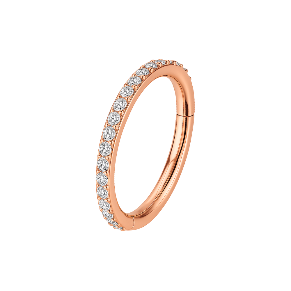 G23 Titanium Micro Setting CZ Stones in Hinged Segment Clicker Ring - Monster Piercing