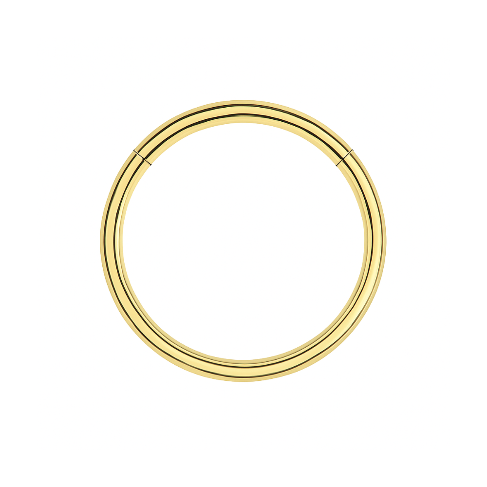 316L Surgical Steel 20G Hinged Segment Clicker Ring - Monster Piercing