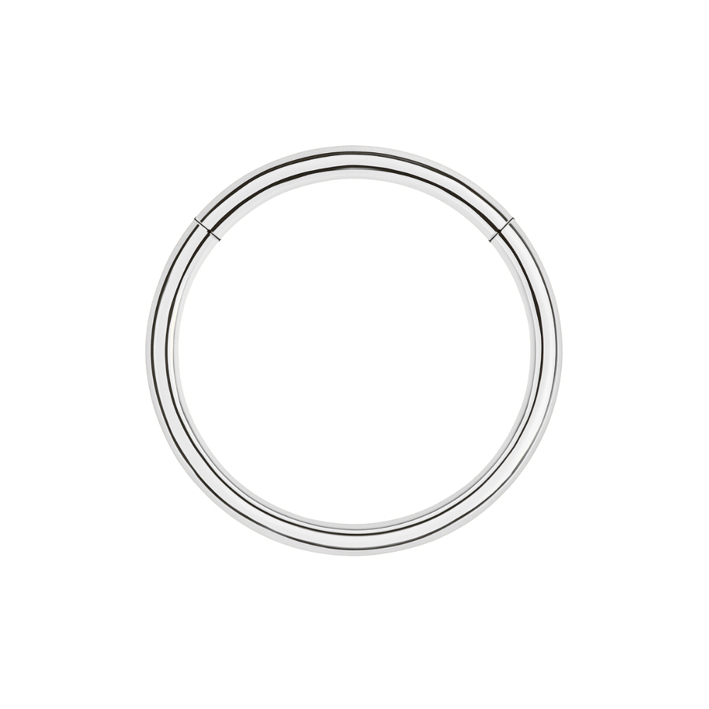 316L Surgical Steel 20G Hinged Segment Clicker Ring - Monster Piercing