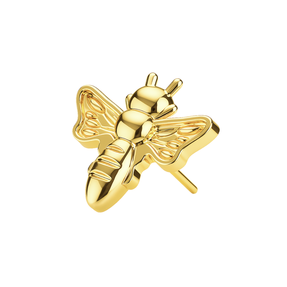 Buzzing Bee Threadless Top in gold-tone G23 Titanium for helix or labret piercings. Durable, elegant, and perfect for accessorizing.
