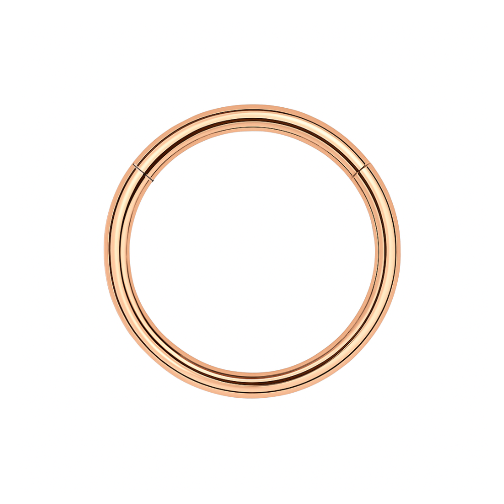 G23 Titanium Hinged Segment Clicker Ring - Monster Piercing