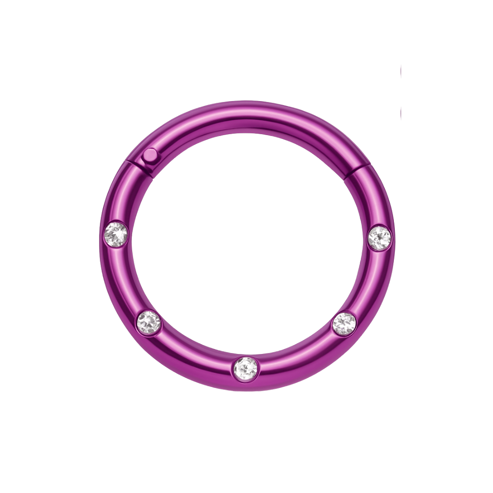 316L Surgical Steel 5 CZ Stones Paved Hinged Segment Clicker Ring - Monster Piercing