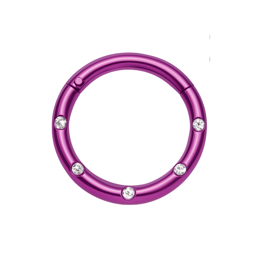 316L Surgical Steel 5 CZ Stones Paved Hinged Segment Clicker Ring - Monster Piercing