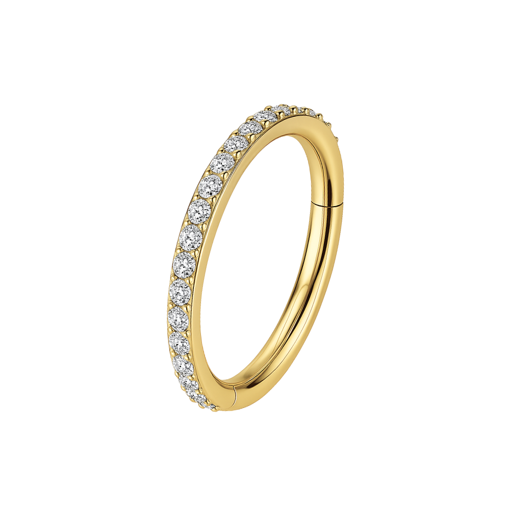 G23 Titanium Micro Setting CZ Stones in Hinged Segment Clicker Ring - Monster Piercing
