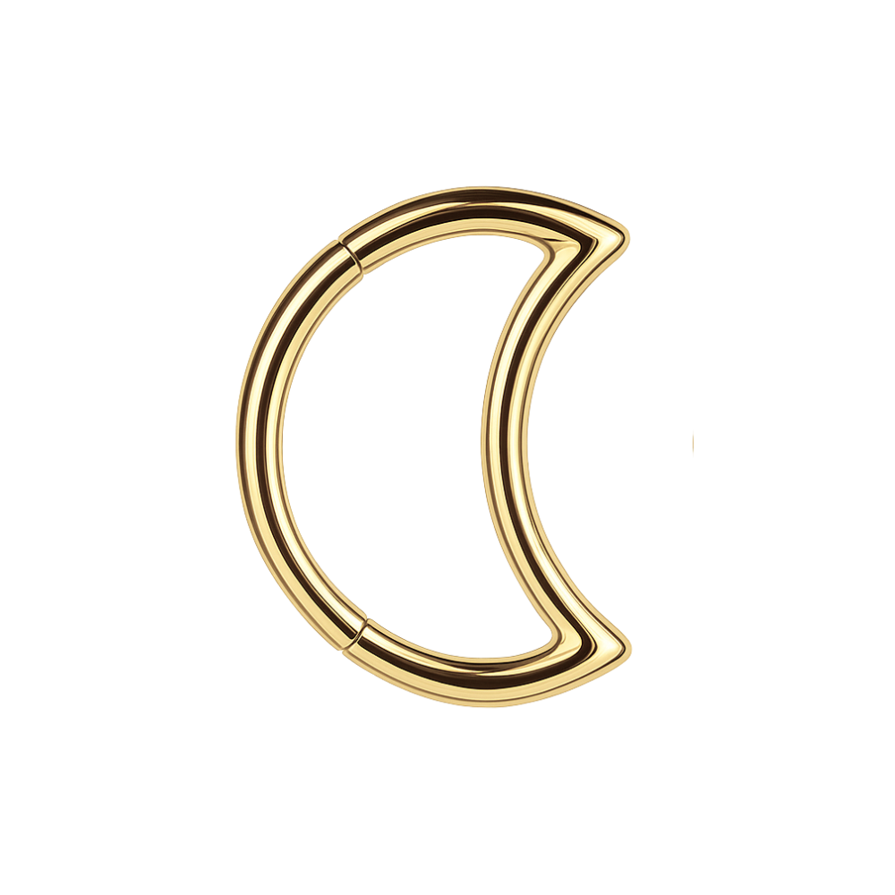 316L Surgical Steel Crescent Cut Segment Clicker Ring - Monster Piercing