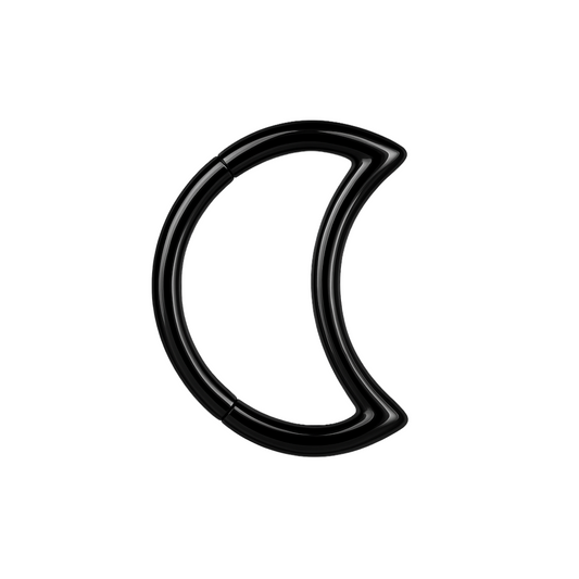 316L Surgical Steel Crescent Cut Segment Clicker Ring - Monster Piercing