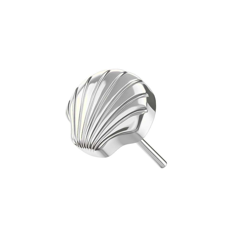 Luxury Seashell Elegance Threadless Top in Premium Titanium, silver finish. Elegant push-fit seashell design for tragus or labret piercings.