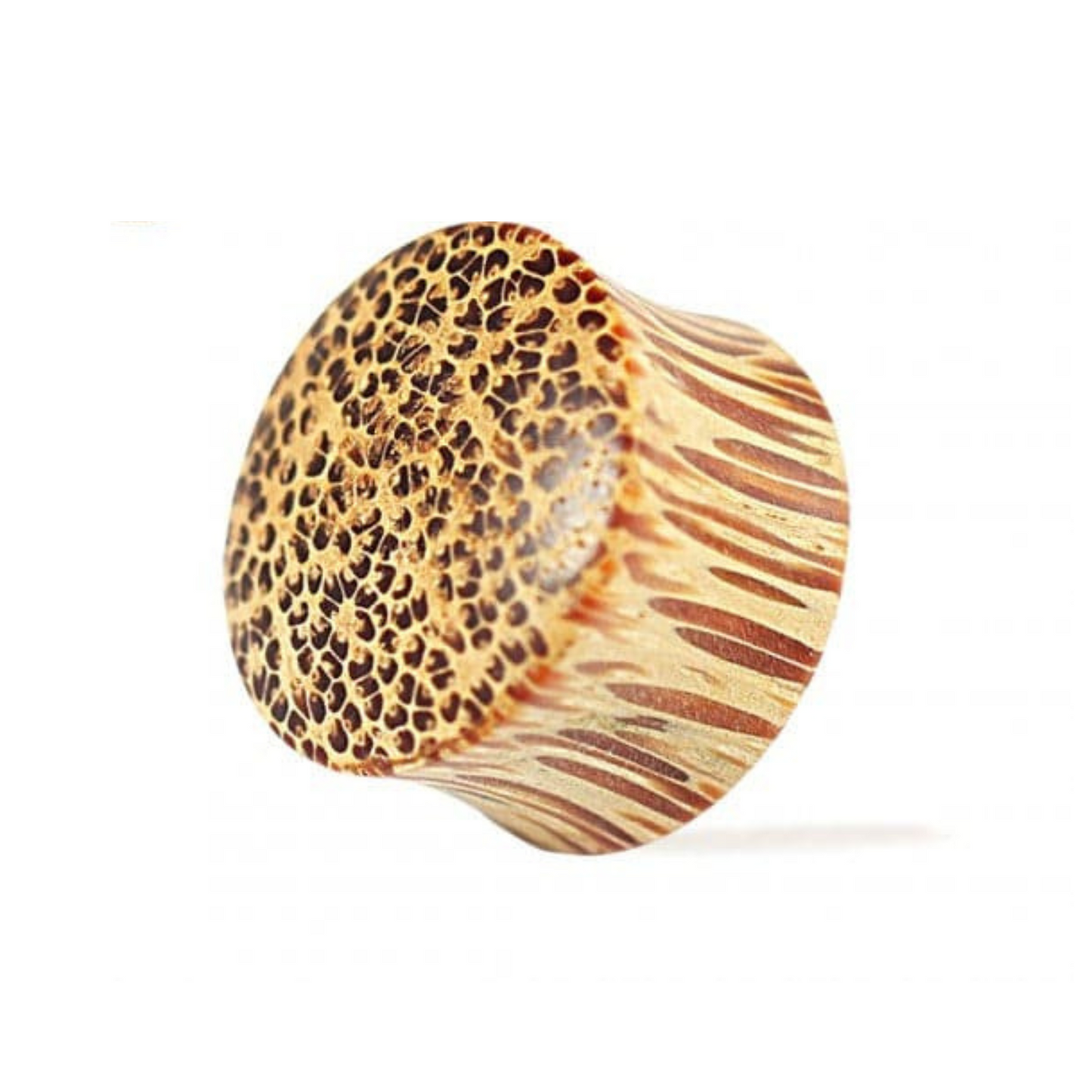 Organic Coco Wood Double Flared Convex Saddle Ear Plug - Monster Piercing
