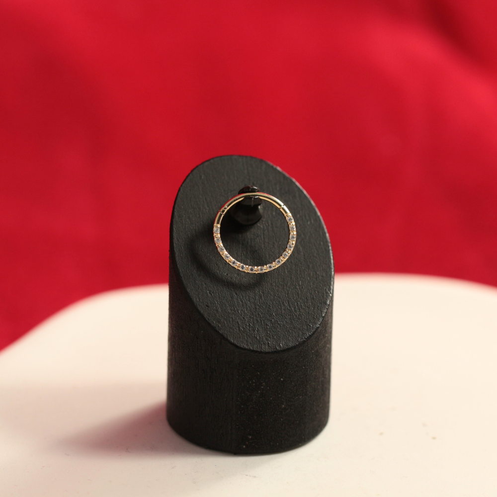 9K Gold Continuous Cubic Zirconia Hinged Segment Clicker Ring - Monster Piercing