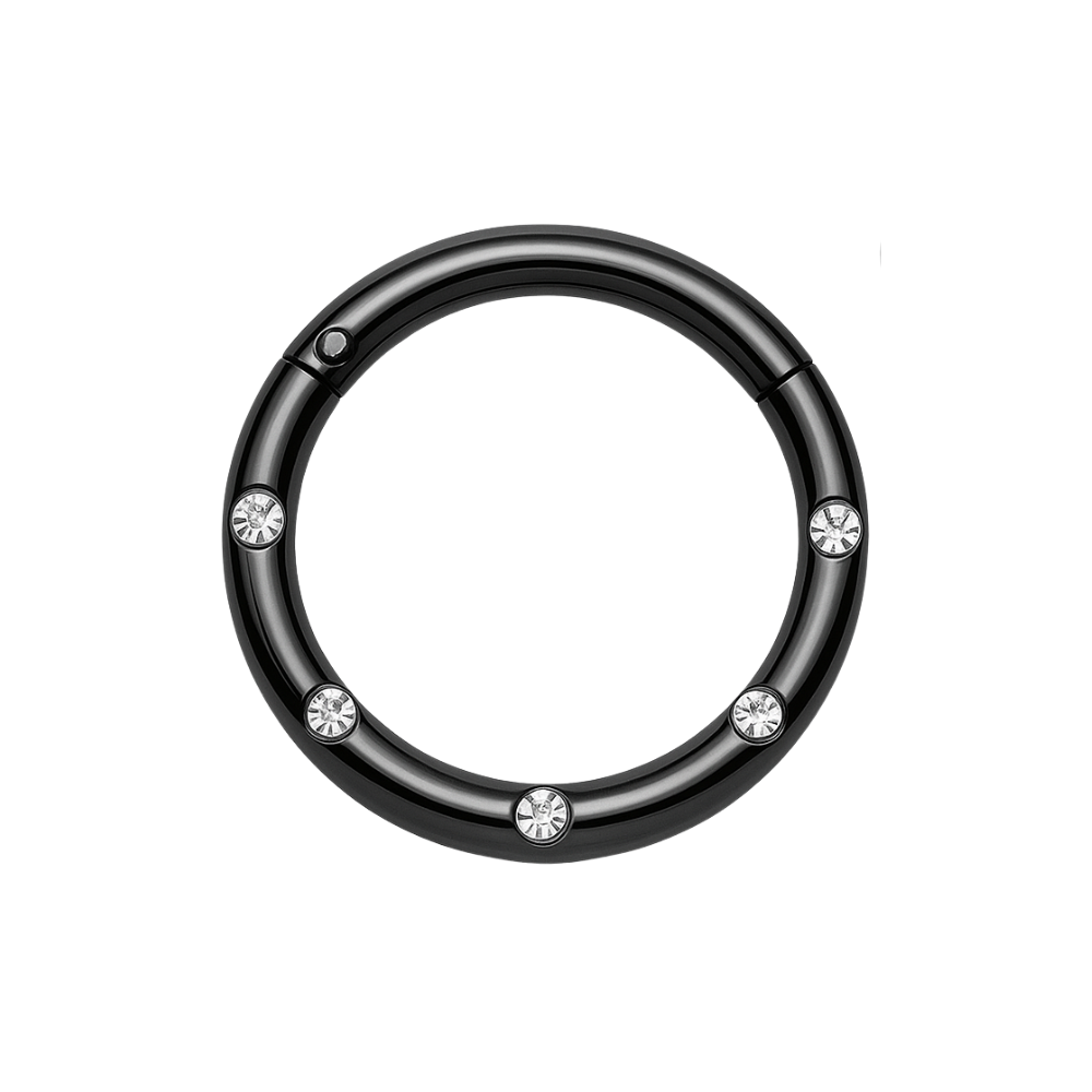 316L Surgical Steel 5 CZ Stones Paved Hinged Segment Clicker Ring - Monster Piercing