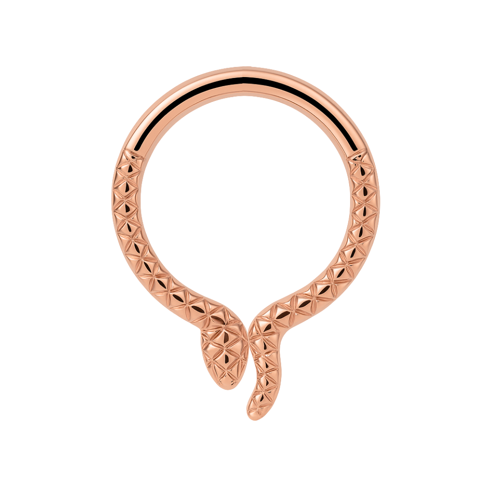 G23 Titanium Snake Design Segment Clicker Ring - Monster Piercing