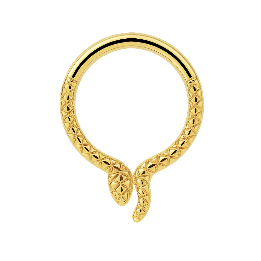 G23 Titanium Snake Design Segment Clicker Ring - Monster Piercing
