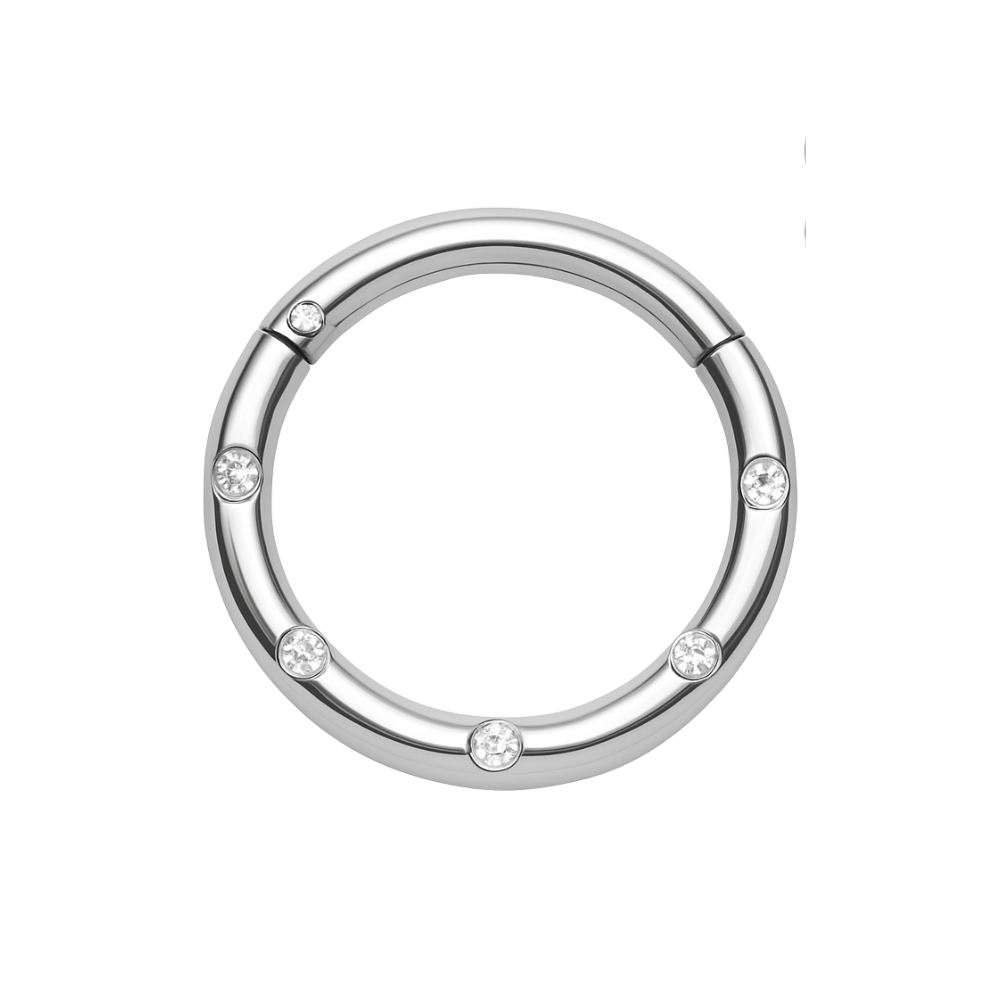 316L Surgical Steel 5 CZ Stones Paved Hinged Segment Clicker Ring - Monster Piercing