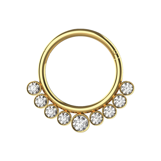 316L Surgical Steel and CZ Stones in Bezel Set Hinged Segment Ring - Monster Piercing