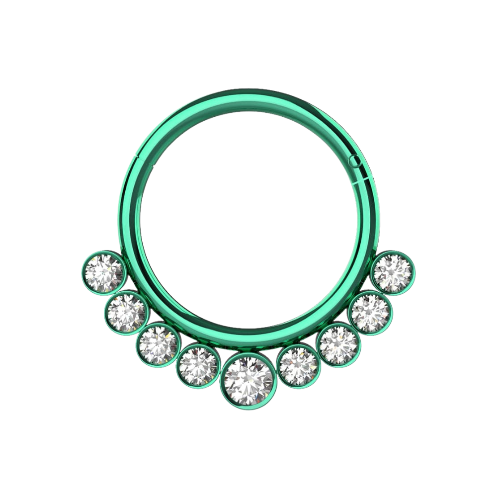 316L Surgical Steel and CZ Stones in Bezel Set Hinged Segment Ring - Monster Piercing
