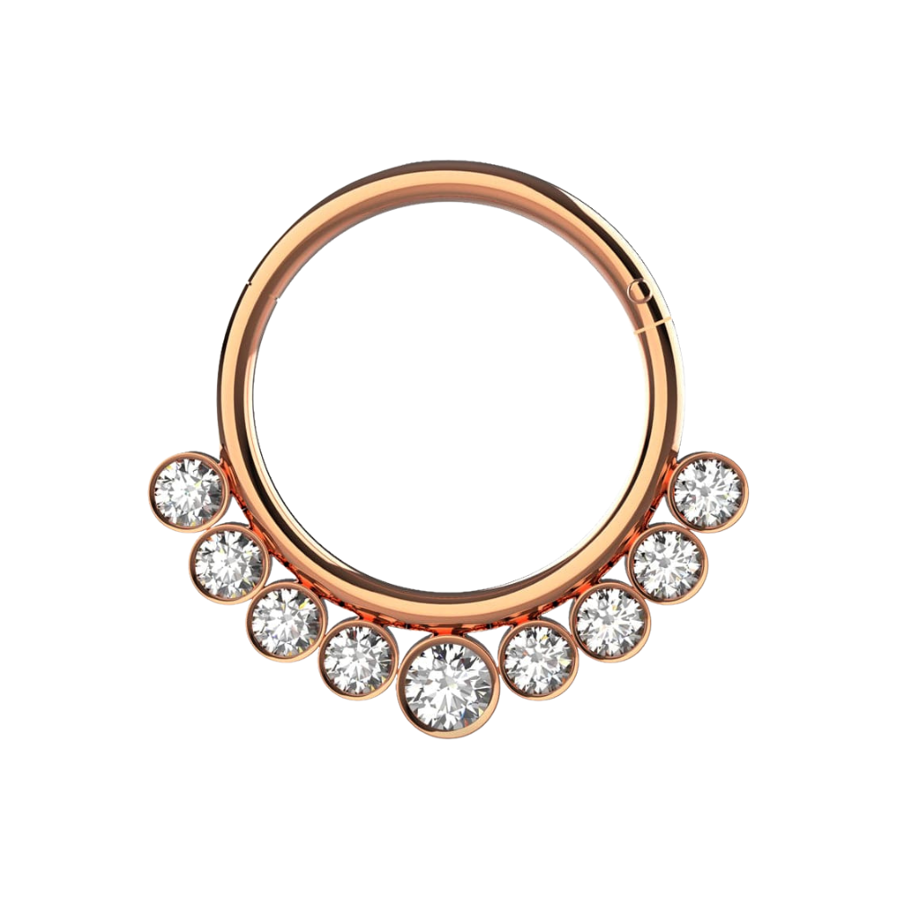 316L Surgical Steel and CZ Stones in Bezel Set Hinged Segment Ring - Monster Piercing