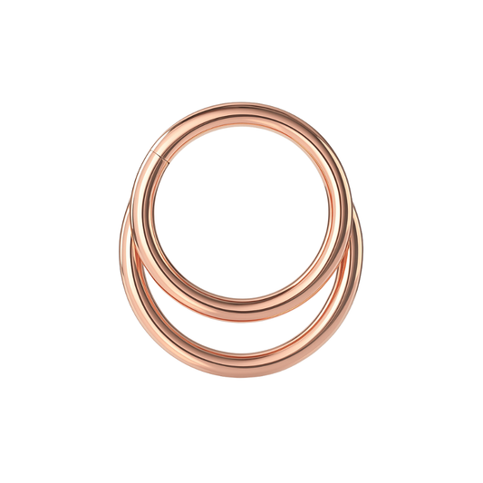 316L Surgical Steel Crescent Moon Hinged Segment Clicker Ring