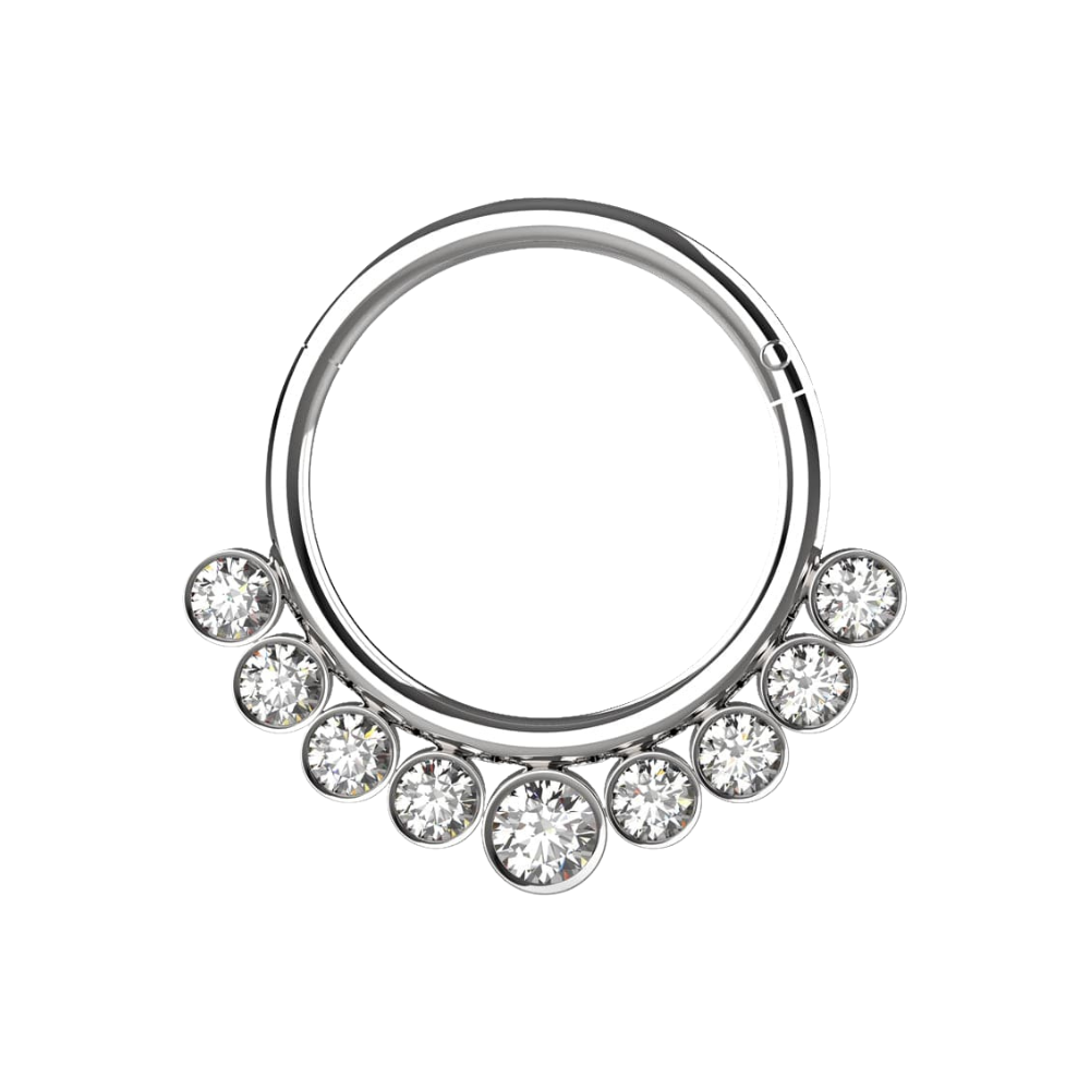 316L Surgical Steel and CZ Stones in Bezel Set Hinged Segment Ring - Monster Piercing