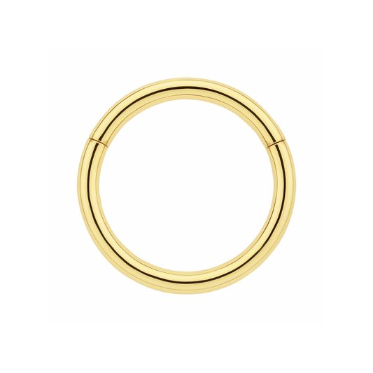 9K Gold Classic Hinged Segment Clicker Ring - Monster Piercing