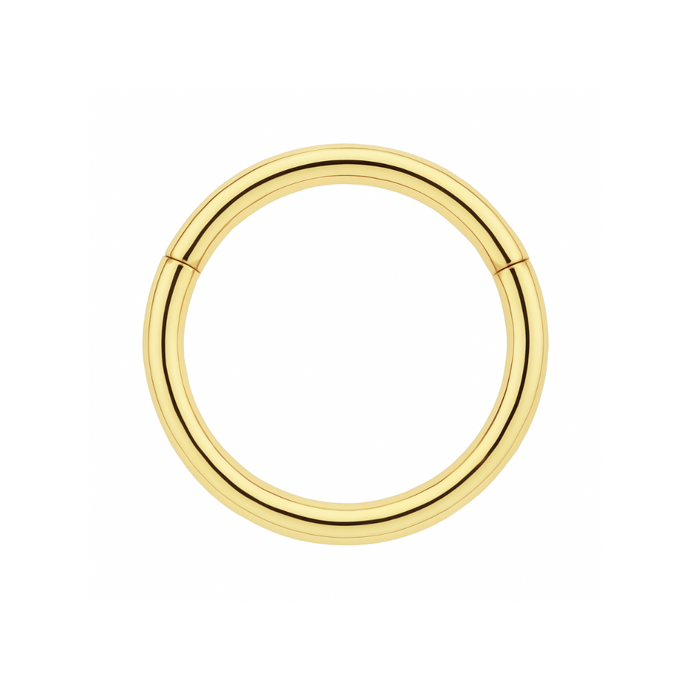 9K Gold Classic Hinged Segment Clicker Ring - Monster Piercing