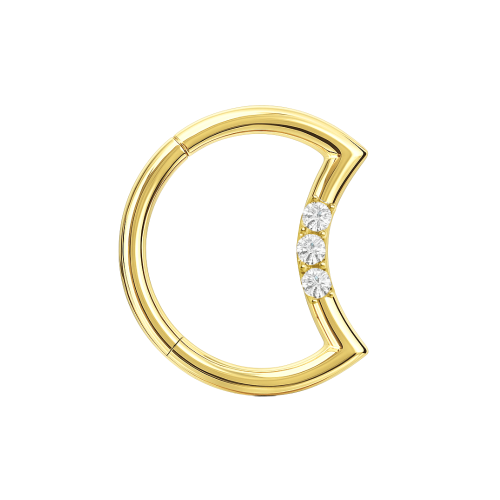 14K Gold Round CZ Jewelled Crescent Segment Clicker Ring - Monster Piercing