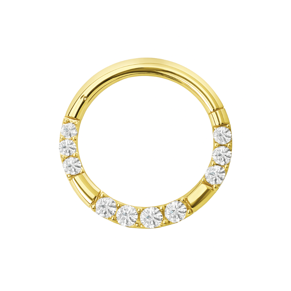 9K Gold Cubic Zirconia Hinged Segment Clicker Ring - Monster Piercing