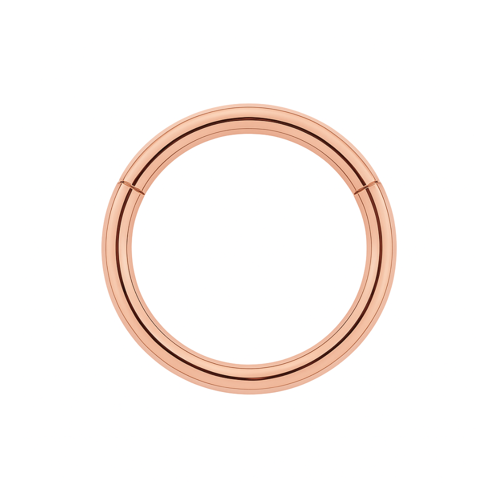 9K Gold Classic Hinged Segment Clicker Ring - Monster Piercing