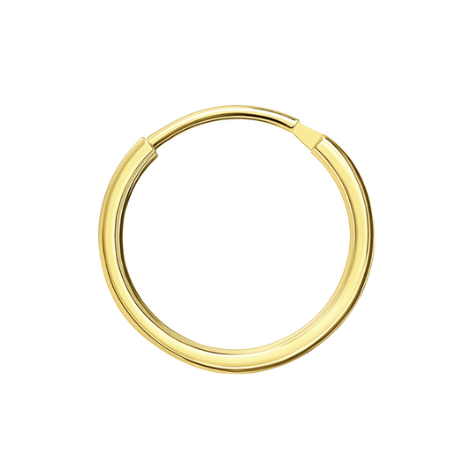 14K Gold Segment Hoop Nose Ring - Monster Piercing