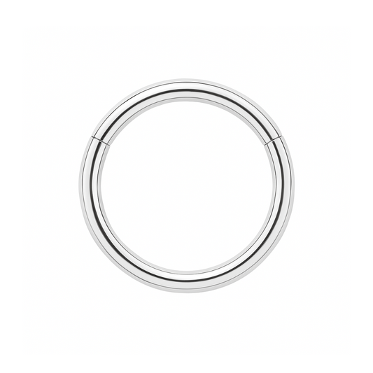 9K Gold Classic Hinged Segment Clicker Ring - Monster Piercing