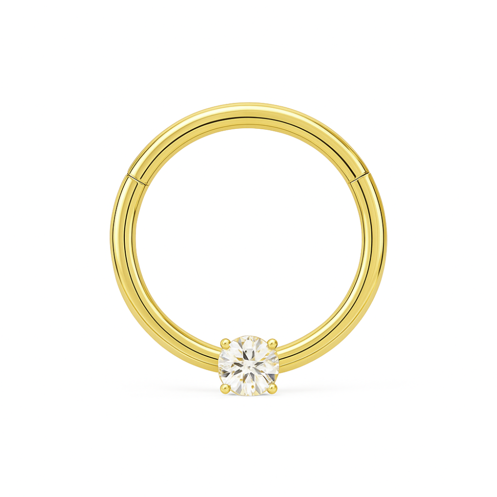 9K Gold Single Cubic Zirconia Hinged Segment Clicker Ring - Monster Piercing